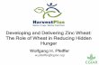Developing and Delivering Zinc Wheat: The Role of Wheat in Reducing Hidden Hunger