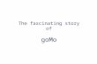 The goMo™ Story