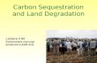 Carbon Sequestration and Land Degradation