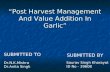 "Post Harvest Management And Value Addition In Garlic"