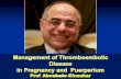 Management of Thromboembolic Disease  in Pregnancy and  Puerperium