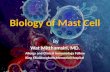 Biology of mast cells