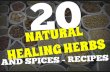 20 Natural Healing Herbs and Spices Recipes and Uses – Health Solution