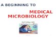 A beginning to Medical microbiology