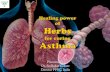 Healing power of Herbs for curing Asthma