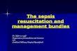 The Sepsis Resuscitation And Management Bundles