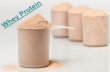 The Market's Hot And Best Selling Whey Protein Supplements