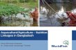 Aquaculture/Agriculture - Nutrition Linkages in Bangladesh
