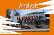 Stonecrest analysis corrected aaron brown trenton thomas raheem hill