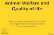 ICAWC 2013 - Welfare Assessment and Quality of Life - Steve Goward