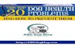 The top 20 dog health abc dog blog
