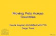 ICAWC 2013 - Moving Pets Across Countries -  Paula Boyden
