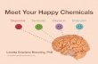 Meet Your Happy Chemicals: Dopamine, Serotonin, Endorphin, Oxytocin
