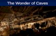 The Wonder Of Cave