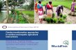 Gender transformative approaches in nutrition and aquatic agricultural interventions by Afrina Choudhury,Paula Kantor and Miranda Morgan,WorldFish