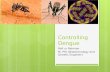 Dengue control