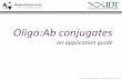 Oligo:Antibody Conjugates—An Application Guide