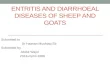 Entritis and diarrheal diseases of sheep and goats