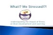 The Effects of Stress And The Brain