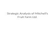 Strategic Analysis of Mitchell’s Fruit Farm Ltd