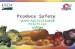 Produce Safety - Good Agricultural Practices