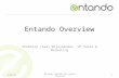Entando overview for CRN Partner Connect