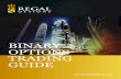 BINARY OPTIONS TRADING GUIDE