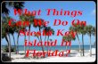 What Things Can We Do On Siesta Key - Plenty of Things To Do
