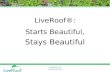 LiveRoof® Green Roofs Start Beautiful, Stay Beautiful