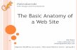 Basic Anatomy of a Website