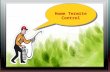 Eco friendly termite removal process