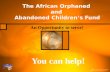 African Orphan Fund 050409