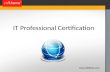 IT Professional Certification