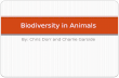 Biodiversity in animals