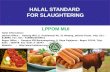 LPPOM MUI Halal Requirement for Slaughtering