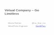 Virtual Company - Go Limitless