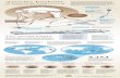 Amelia Earhart’s Disappearance - 75th Anniversary #INFOGRAPHIC
