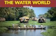 The Water World - Kerala, Kumarakom, Aleppey, Kochi