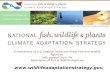 Shaffer, Climate Adaptation Strategy