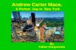 Andrew carter mace. a perfect day in new york.