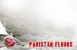 Pakistan Floods Appeal
