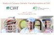 Status of Cassava Genetic Transformation at CIAT.