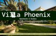 Villa Phoenix Apartments & Studios - Sun. Sea. Comfort.
