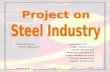 Project Steel Industry