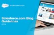 Salesforce Blog Guidelines