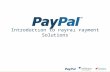 Introduction Pay Pal Online Payment Processing