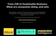 From CSR to Sustainable Business - What are companies doing, and why