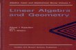 Linear Algebra and Geometry Algebra Logic and Applications