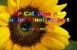 Ap Calculus Ab Junior Final Project