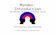Mindex: Your Thinking Style Profile